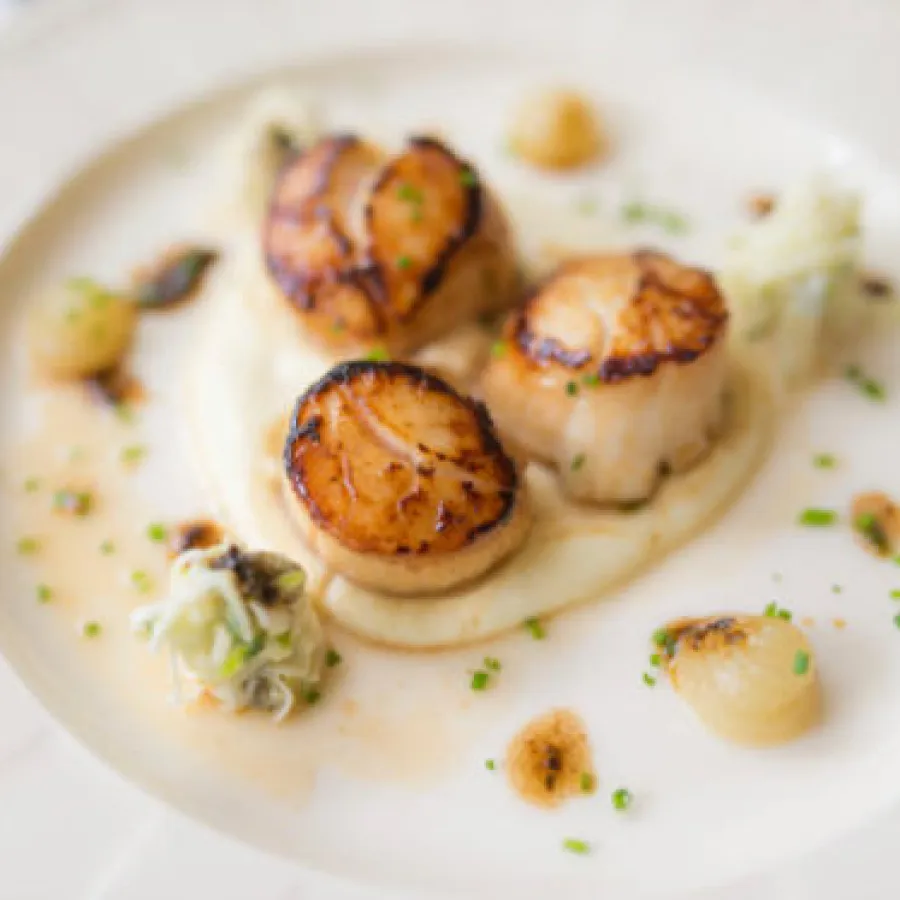 coquilles saint jacques snackées avec sauce présentées sur assiette 