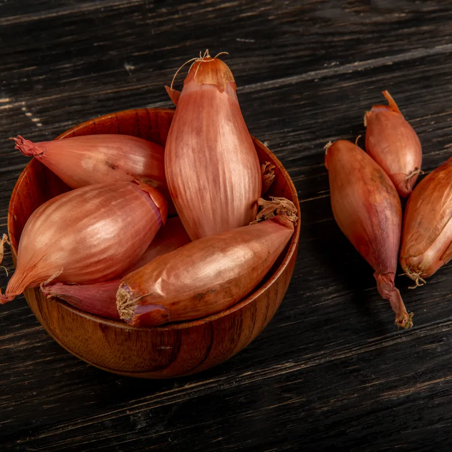 Echalottes