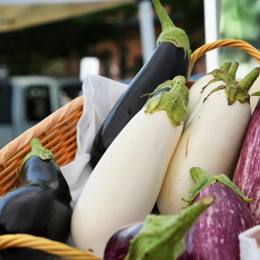 astuce aubergine fleury michon