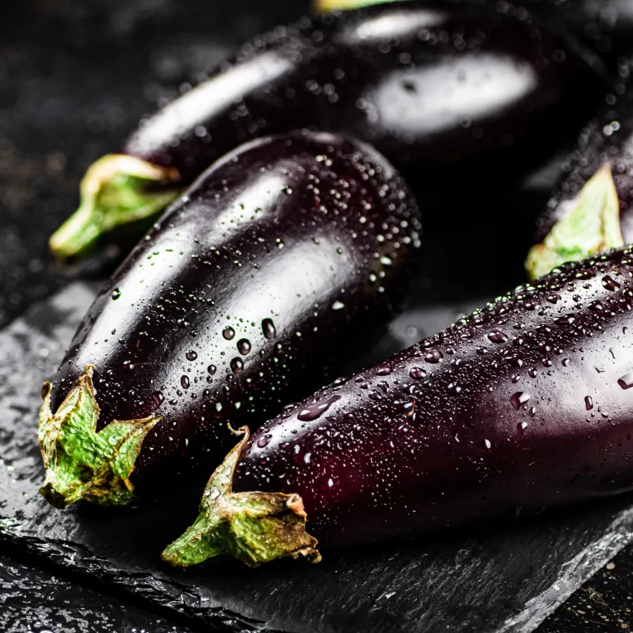 aubergine fleury michon
