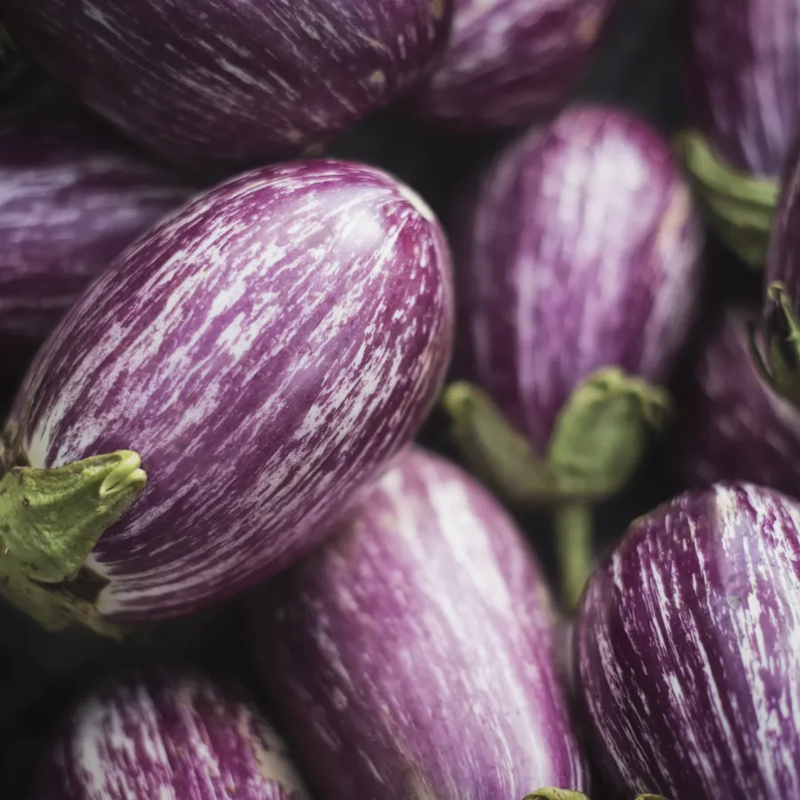 astuce aubergine fleury michon