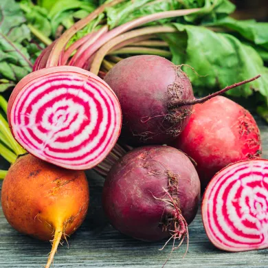 Variétés de betteraves