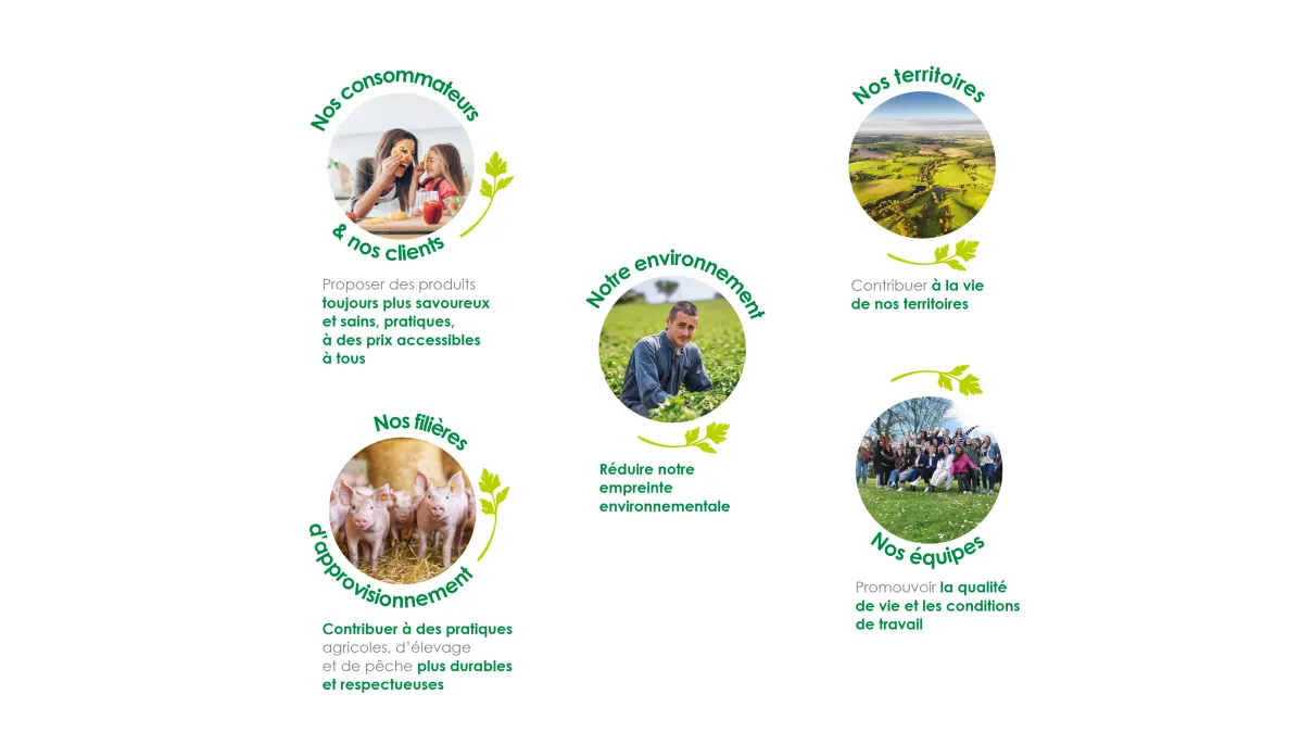 Infographies 5 pilliers RSE 2025