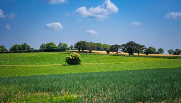 Fleury Michon la Vendée à coeur