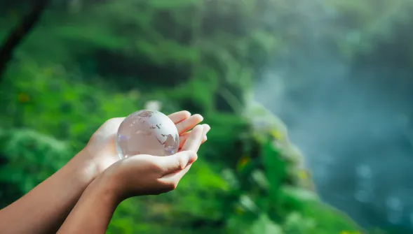 Mains tenant une planète terre en verre avec en fond une forêt 