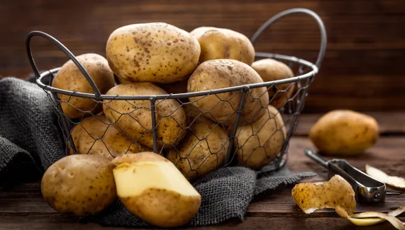 Fleury Michon choisit avec soin les ingrédients de ses recettes de parmentier en barquettes bois