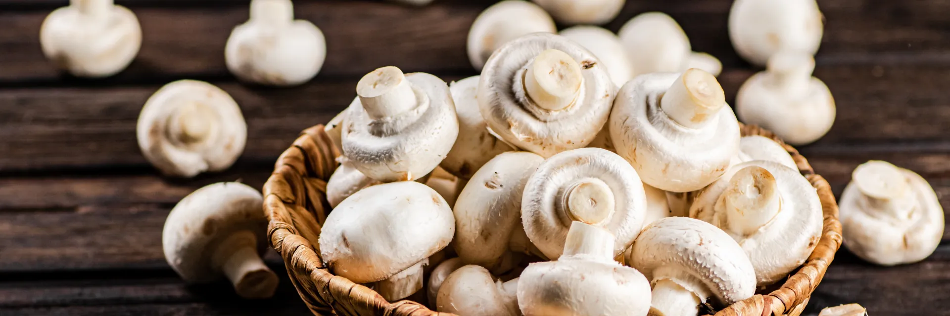 Champignons de paris frais