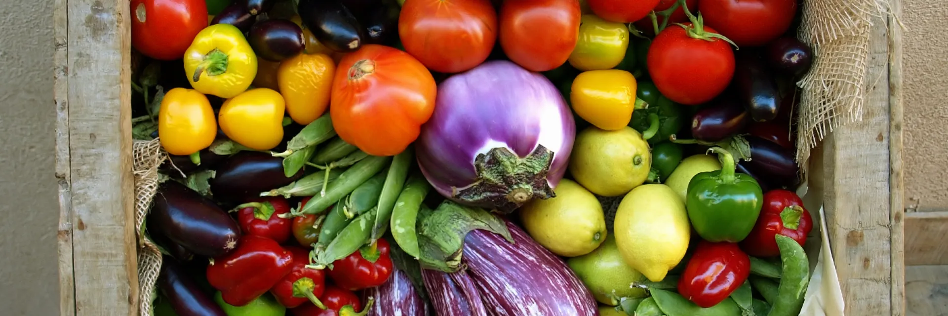 cagette avec une multitude de légumes colorés