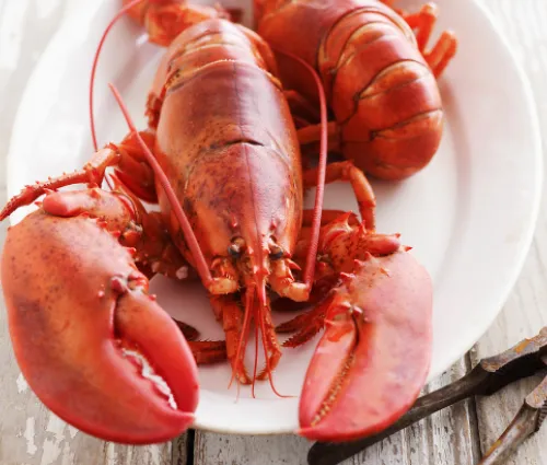 homard cuit sur une assiette avec des rondelles de citron et une pince 