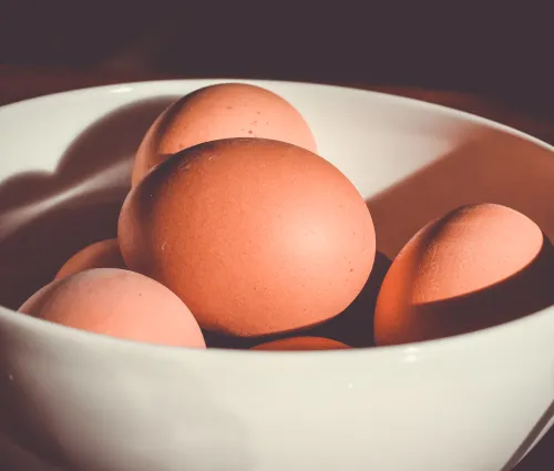 bol contenant des œufs 