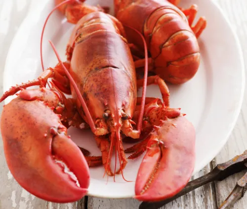 Homards cuits dans une assiette