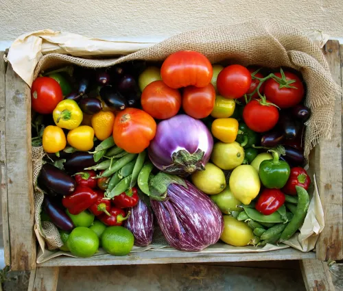 cagette avec une multitude de légumes colorés