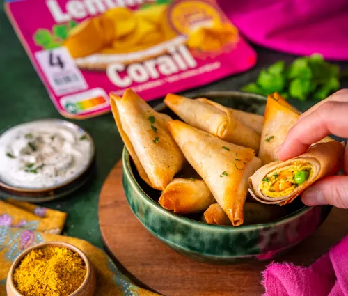 Samoussa tranche végé curry cumin fleury michon