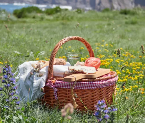 panier pic nic dans des herbes hautes avec fleurs des champs