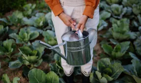 Fermier avec un arrosoir dans un champ