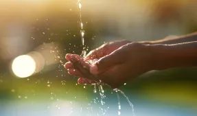 mains qui récupèrent de l'eau