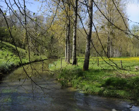 Paysage vendéen avec forêt et cours d'eau 